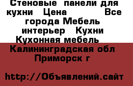 Стеновые  панели для кухни › Цена ­ 1 400 - Все города Мебель, интерьер » Кухни. Кухонная мебель   . Калининградская обл.,Приморск г.